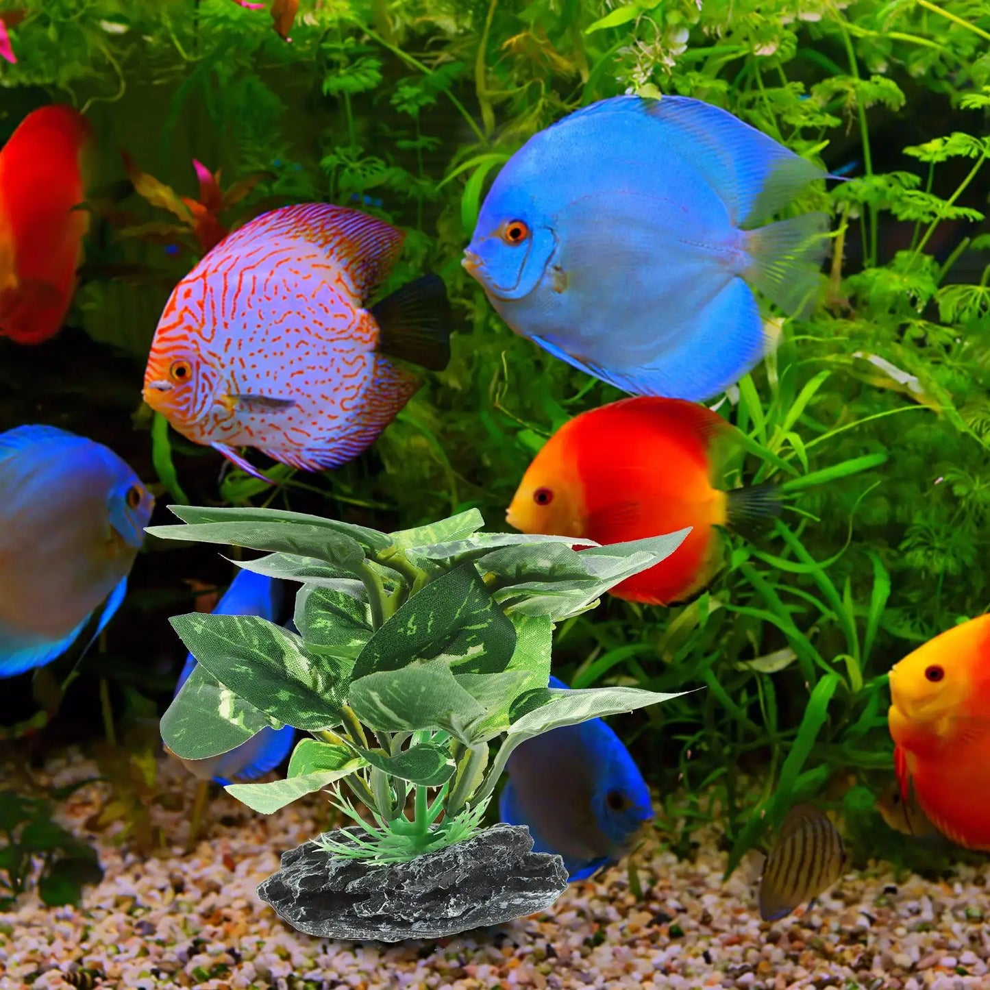 Premium Artificial Plant Decoration For Tank Aquarium Plants Decor Accessories Supplies nament Faux Fake Plastics Aquatic Pet
