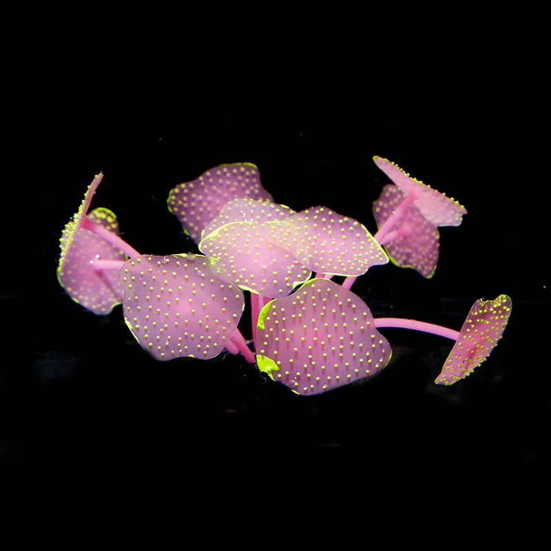Aquarium Supplies Luminous Coral Simulation Silicone Corals UnderWater Landscape Decor Fish Tank Landscaping Coral Accessories