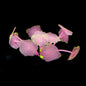 Aquarium Supplies Luminous Coral Simulation Silicone Corals UnderWater Landscape Decor Fish Tank Landscaping Coral Accessories